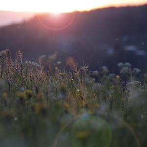小伙子和老阿姨操屁
