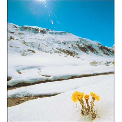 小伙子和老阿姨操屁
